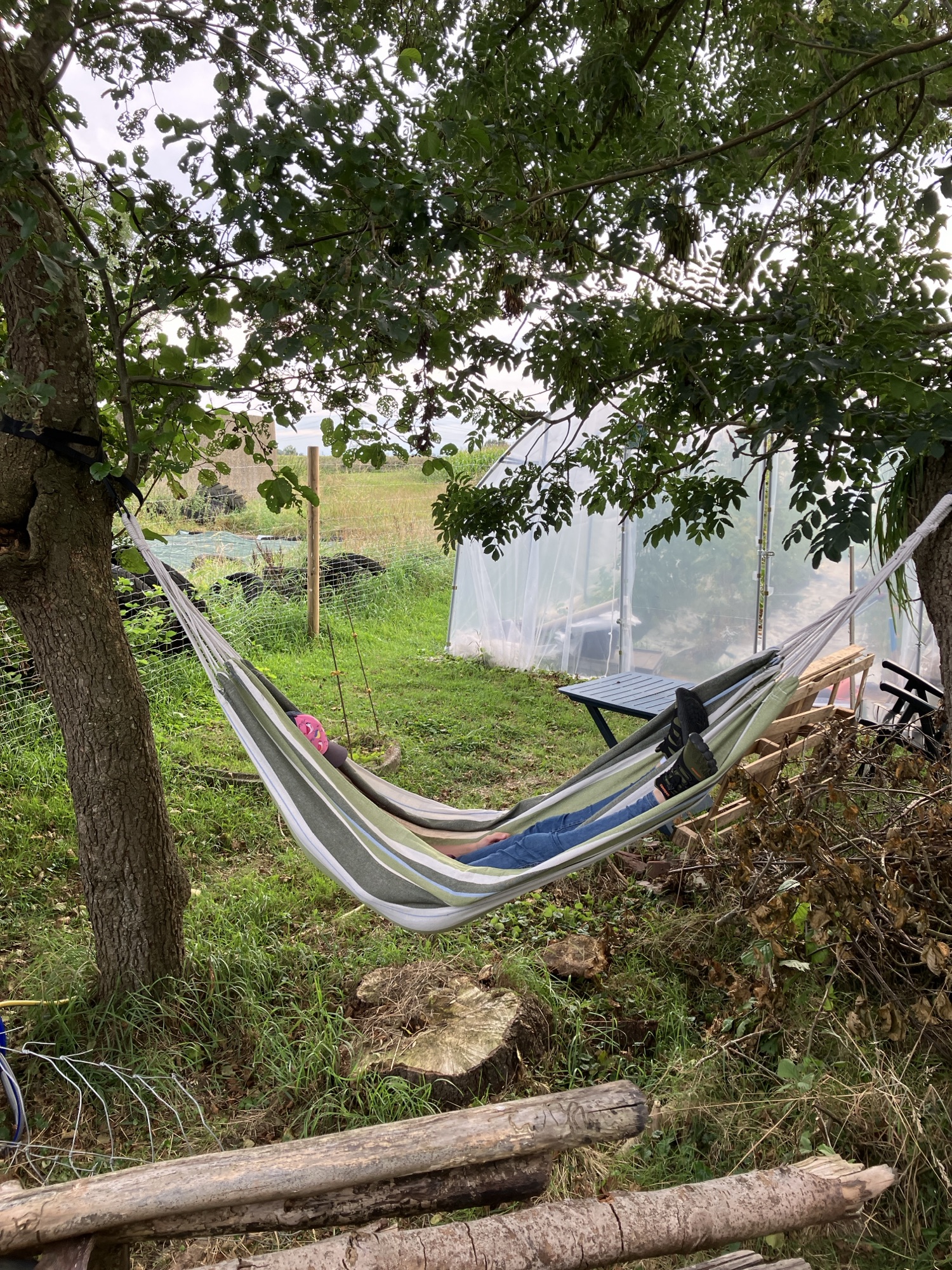 Rückblick Sommerferien